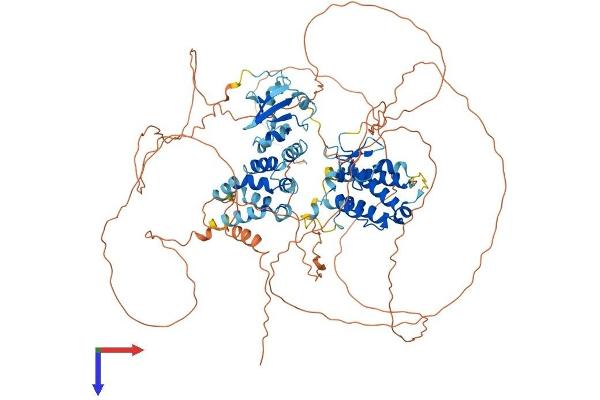SP140 Protein (AA 1-867) (His tag)