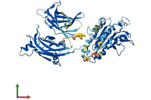 Protein Structure (PS) image for Copine VI (CPNE6) (AA 1-557) protein (His tag) (ABIN7556374)