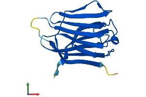 AlphaFold protein structure predicition of Human Recombinant LGALS16 Protein, UniprotID A8MUM7