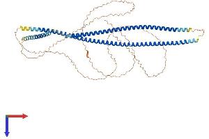 KRT9 Protein (AA 1-623) (His tag)