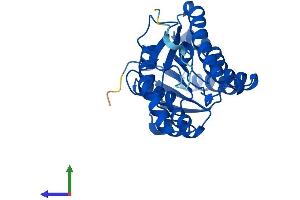 Protein Structure (PS) image for Hydroxysteroid (17-Beta) Dehydrogenase 14 (HSD17B14) (AA 1-270) protein (His tag) (ABIN7547111)
