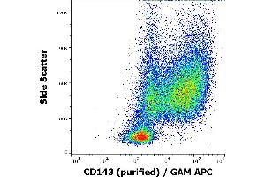 Flow cytometry surface staining pattern of human GM-CSF + IL-4 stimulated peripheral blood mononuclear cells stained using anti-human CD143 (5-369) purified antibody (concentration in sample 0,6 μg/mL) GAM APC. (Angiotensin I Converting Enzyme 1 Antikörper)
