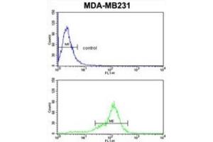 Flow Cytometry (FACS) image for anti-BCL2-Related Protein A1 (BCL2A1) antibody (ABIN2997079) (BCL2A1 Antikörper)