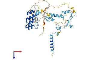 BAT4 Protein (AA 1-372) (His tag)