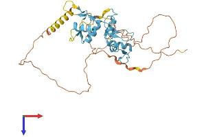 ZIC4 Protein (AA 1-334) (His tag)