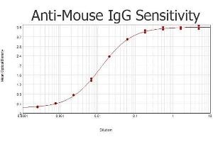 ELISA results of purified Rabbit anti-Mouse IgG Antibody tested against purified Mouse IgG. (Kaninchen anti-Maus IgG (Heavy & Light Chain) Antikörper)