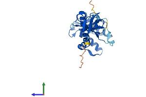 AlphaFold protein structure predicition of Human Recombinant MKRN2OS Protein, UniprotID H3BPM6