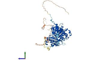 AlphaFold protein structure predicition of Mouse Recombinant Chm Protein, UniprotID Q9QXG2