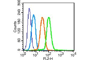 Image no. 3 for anti-Solute Carrier Family 2 (Facilitated Glucose Transporter), Member 4 (SLC2A4) (AA 401-509) antibody (ABIN739445)