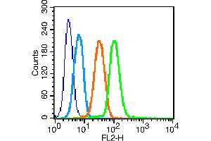 K562 cells probed with GLUT4 Polyclonal Antibody, unconjugated  at 1:100 dilution for 30 minutes compared to control cells (blue) and isotype control (orange)
