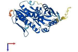 PRPSAP1 Protein (AA 1-356) (His tag)