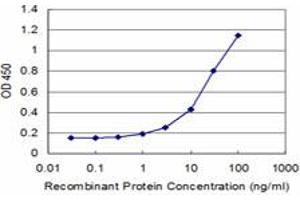 Detection limit for recombinant GST tagged RAG2 is approximately 1ng/ml as a capture antibody. (RAG2 Antikörper  (AA 428-527))