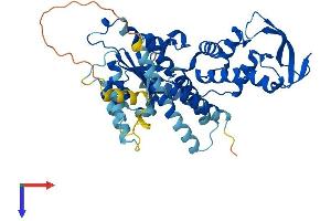 VPS4B Protein (AA 1-444) (His tag)