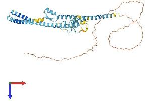 LUC7L2 Protein (AA 1-392) (His tag)