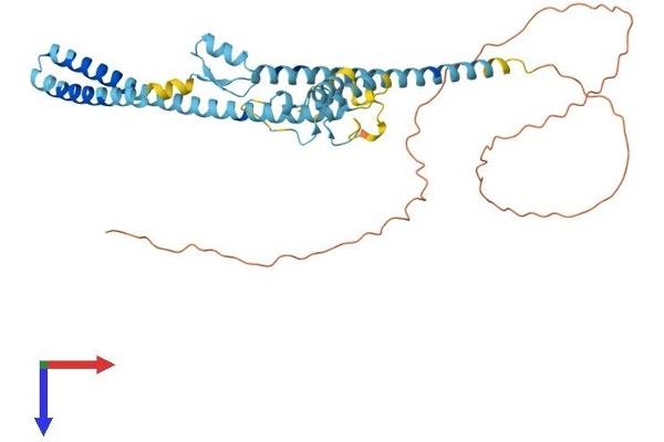 LUC7L2 Protein (AA 1-392) (His tag)