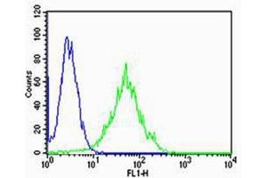 Flow cytometric analysis of Hela cells using PSEN2(Presenilin-2 NTF subunit) Antibody (N-term)(green, Cat(ABIN1944732 and ABIN2838558)) compared to an isotype control of rabbit IgG(blue). (Presenilin 2 Antikörper  (N-Term))