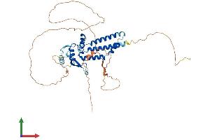 Protein Structure (PS) image for Transcription Factor AP-2 delta (Activating Enhancer Binding Protein 2 Delta) (TFAP2D) (AA 1-452) protein (His tag) (ABIN7552255)