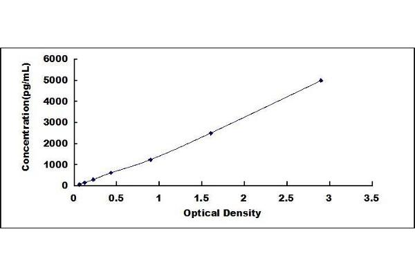 RNASE1 ELISA Kit