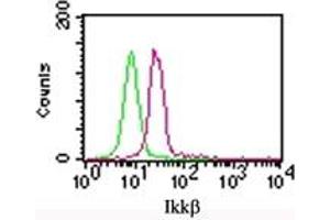 IKK beta IKK2 Flow Cytometry Flow Cytometry of Mouse Anti-IKK beta antibody.