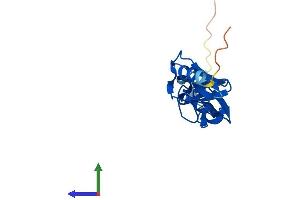 Protein Structure (PS) image for LIM Domain Only 3 (Rhombotin-Like 2) (LMO3) (AA 1-145) protein (His tag) (ABIN7549123)