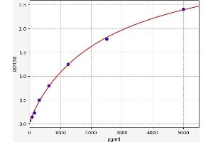 CYB5R2 ELISA Kit