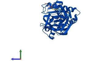 Protein Structure (PS) image for D-Aspartate Oxidase (DDO) (AA 1-341) protein (His tag) (ABIN7560245)
