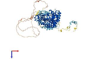 STRIP2 Protein (AA 1-834) (His tag)