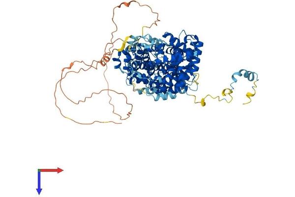 STRIP2 Protein (AA 1-834) (His tag)