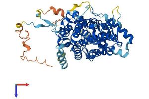 SESN1 Protein (AA 1-492) (His tag)