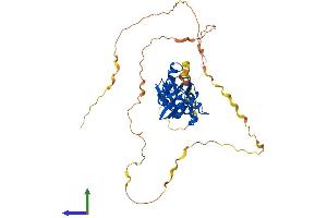 Protein Structure (PS) image for Proline-Rich Coiled-Coil 1 (PRRC1) (AA 1-443) protein (His tag) (ABIN7557251)