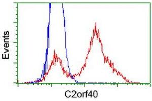 Flow Cytometry (FACS) image for anti-Chromosome 2 Open Reading Frame 40 (C2orf40) antibody (ABIN1497049) (C2orf40 Antikörper)