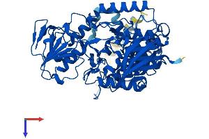 FMO5 Protein (AA 1-533) (His tag)