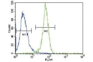 Flow Cytometry (FACS) image for anti-Phosphoglycerate Kinase 1 (PGK1) (AA 117-145) antibody (ABIN3032224)