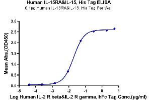 Immobilized Human IL-15RA&IL-15, His Tag at 1 μg/mL (100 μL/well) on the plate.