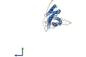 AlphaFold protein structure predicition of Mouse Recombinant Cybrd1 Protein, UniprotID Q925G2