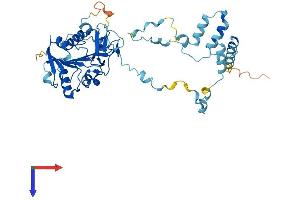 AlphaFold protein structure predicition of Human Recombinant IFT52 Protein, UniprotID Q9Y366