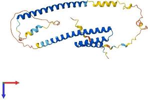 NRBF2 Protein (AA 1-287) (His tag)