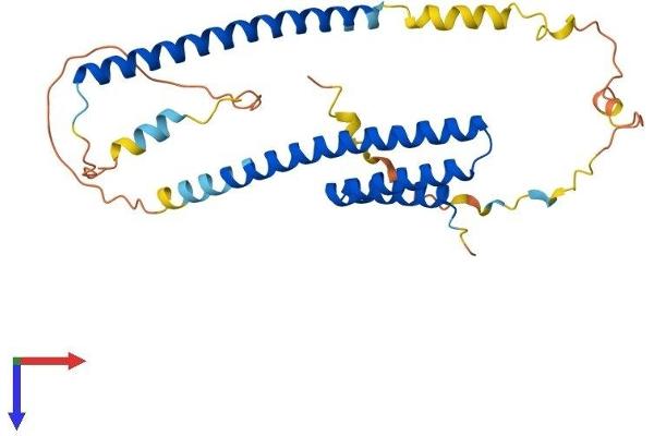 NRBF2 Protein (AA 1-287) (His tag)