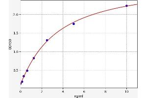 C1QA ELISA Kit