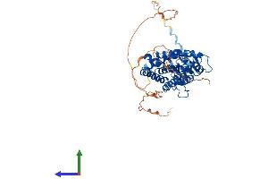 Protein Structure (PS) image for Retinoic Acid Receptor, beta (RARB) (AA 1-482) protein (His tag) (ABIN7562970)