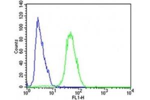 Flow cytometric analysis of SH-SY5Y cells using CDK5 antibody (green) compared to an isotype control of rabbit IgG (blue); Ab was diluted at 1:25 dilution. (CDK5 Antikörper  (AA 225-260))