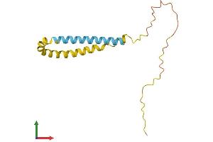 Protein Structure (PS) image for Synuclein, beta (SNCB) (AA 1-134) protein (His tag) (ABIN7544121)