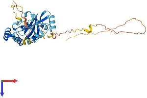 TPGS2 Protein (AA 1-300) (His tag)