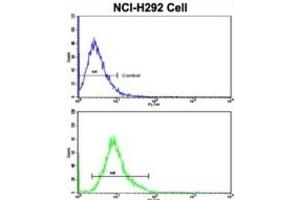 Flow Cytometry (FACS) image for anti-E74 like ETS transcription factor 4 (Elf4) antibody (ABIN3003030) (Elf4 Antikörper)