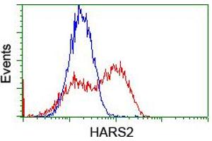 HEK293T cells transfected with either RC204925 overexpress plasmid (Red) or empty vector control plasmid (Blue) were immunostained by anti-HARS2 antibody (ABIN2455198), and then analyzed by flow cytometry. (HARS2 Antikörper)