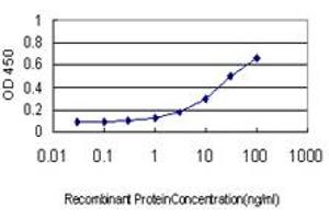 Detection limit for recombinant GST tagged MSRB2 is approximately 0. (MSRB2 Antikörper  (AA 102-201))