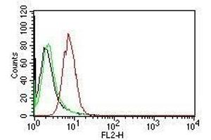 Flow Cytometric analysis of human Cyclin D1 on HeLa cells. (Cyclin D1 Antikörper)