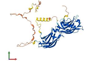 Protein Structure (PS) image for Double C2-Like Domains, alpha (DOC2A) (AA 1-400) protein (His tag) (ABIN7547154)