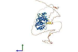 Protein Structure (PS) image for V-Ets erythroblastosis Virus E26 Oncogene Homolog 1 (Avian) (ETS1) (AA 1-440) protein (His tag) (ABIN7563024)
