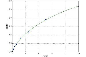 A typical standard curve (Cathepsin B ELISA Kit)